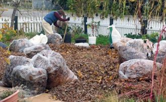 man raking leaves