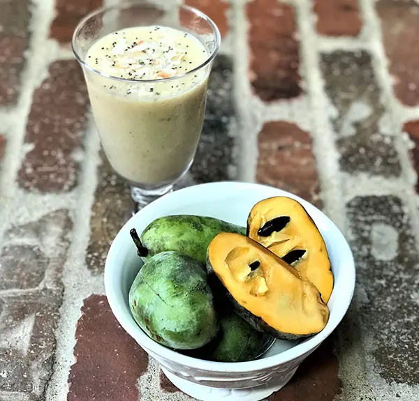 Ingredients for paw paw smoothie