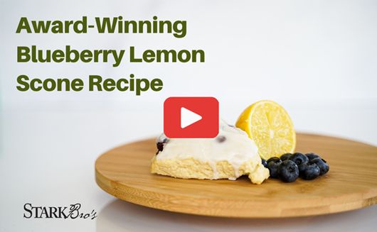 Blueberry Lemon Scone Recipe with Video WATCH NOW