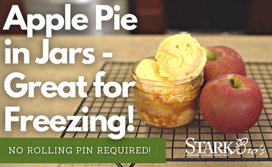 Apple Pie in a Jar Recipe WATCH NOW!