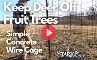 A cage around a tree and video icon to watch how to build a cage to keep deer off of fruit trees