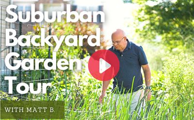Read the full article Matt in suburban backyard garden