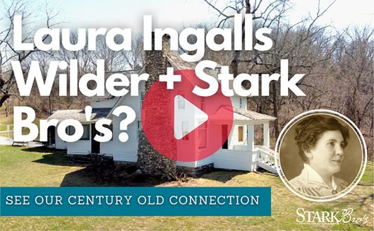 Watch Now! Laura Ingalls Wilder + Stark Bro's