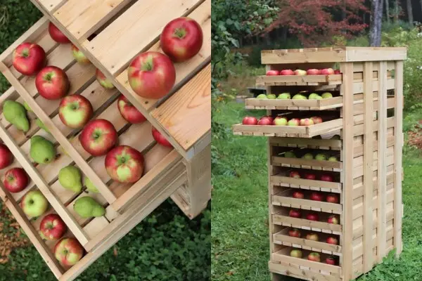 Custom Apple Rack made of wood