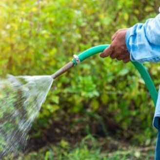 watering in summer