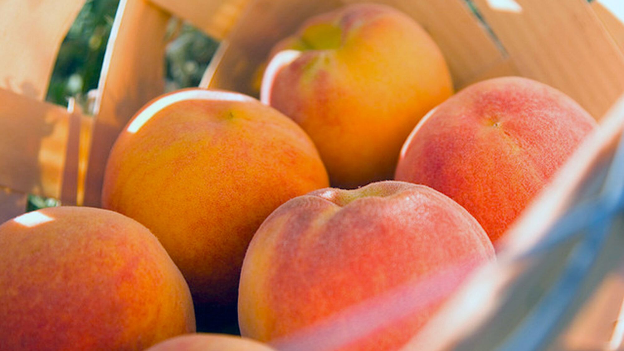 Basket of Peaches