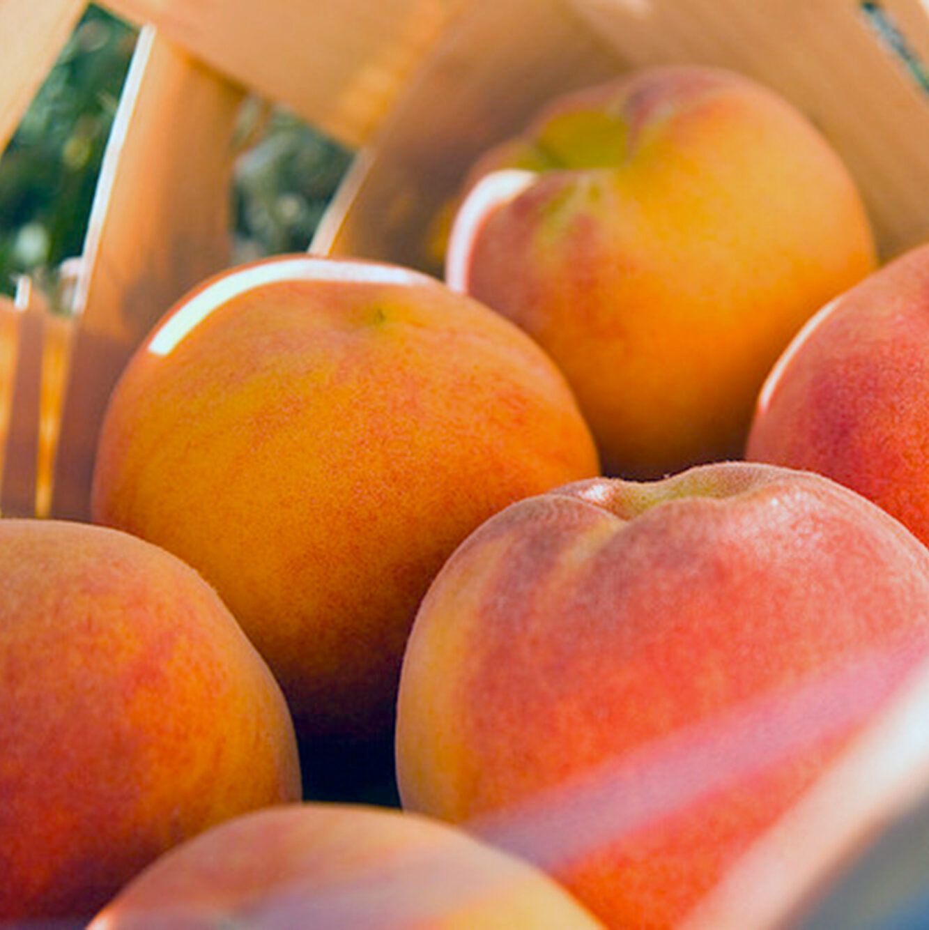 Basket of Peaches