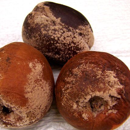 Brown Rot on Stone Fruits