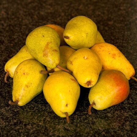 Bartlett Pears for Preserves