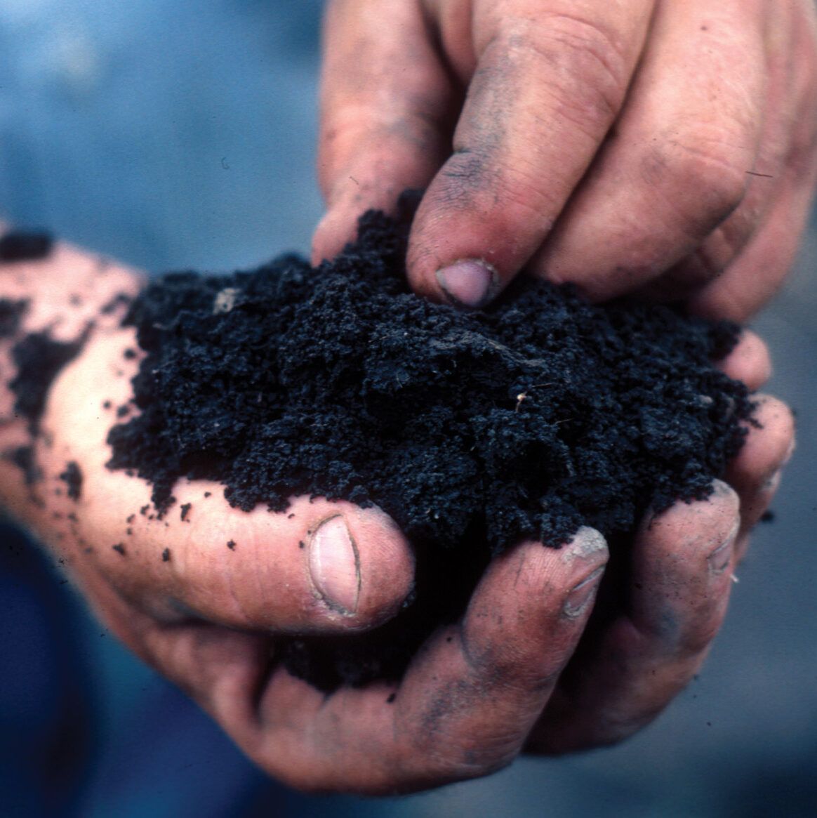 Nutrient-Rich Soil Nutrient-Rich Soil