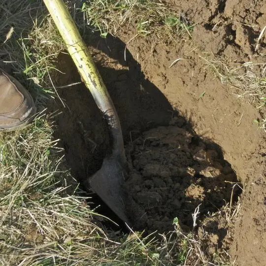 Digging a Hole 3