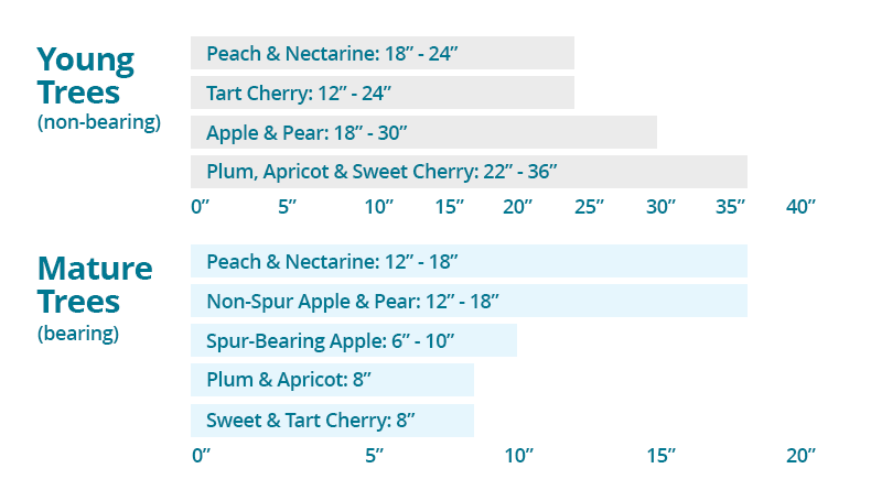 Annual Fruit Tree growth