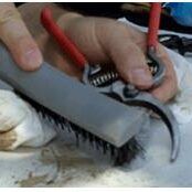 Tool Cleaning with Wire Brush Sharpening pruners
