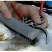 Tool Cleaning with Wire Brush Sharpening pruners