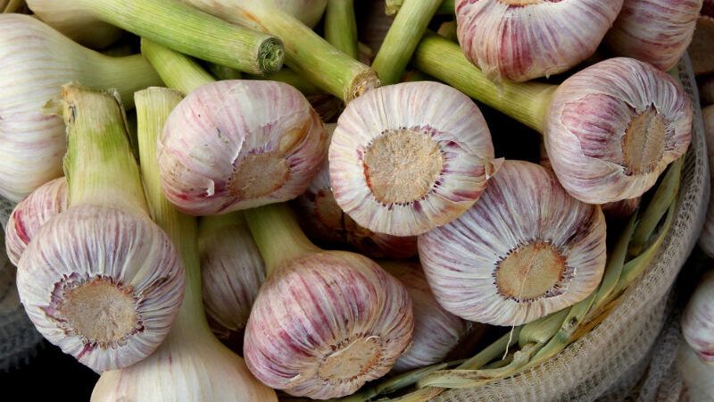 Garlic Silver Rose via Shutterstock