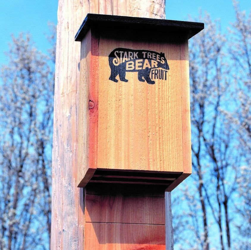 Photo of bat house
