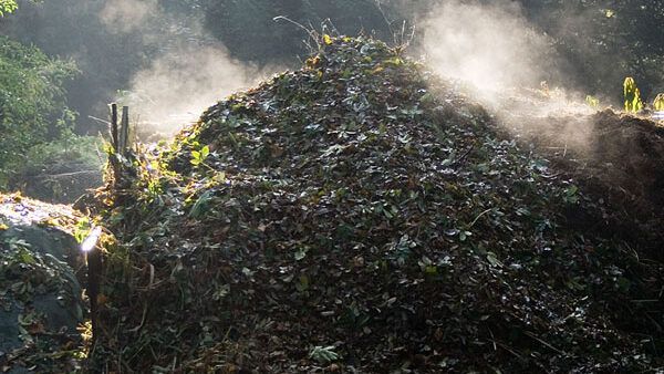 steaming compost pile