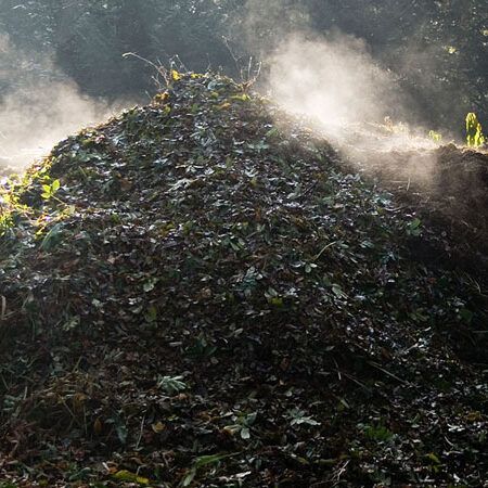 steaming compost pile