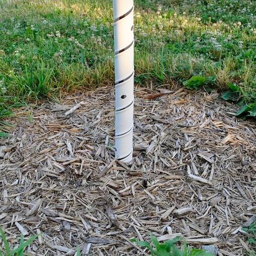 Mulch around tree