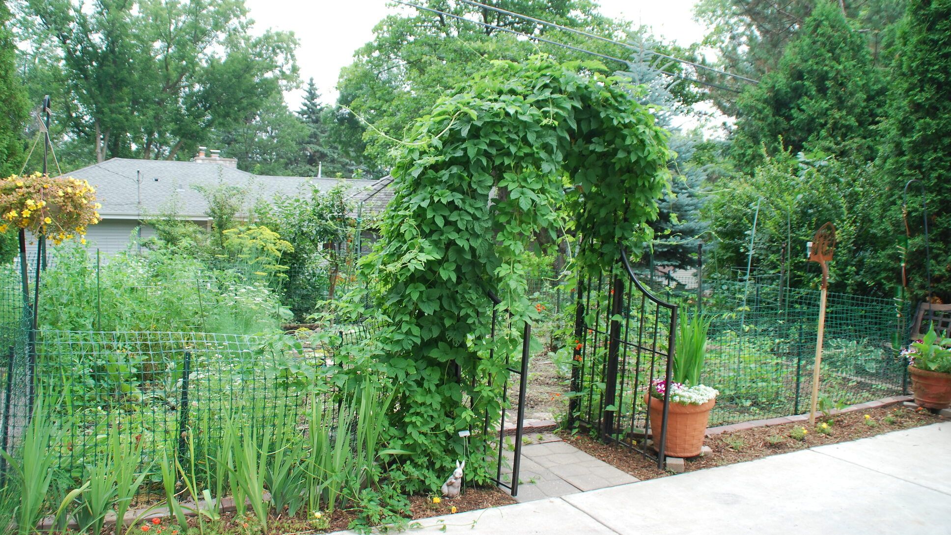 Edible Garden and Archway