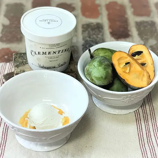 Ingredients for paw paw smoothie