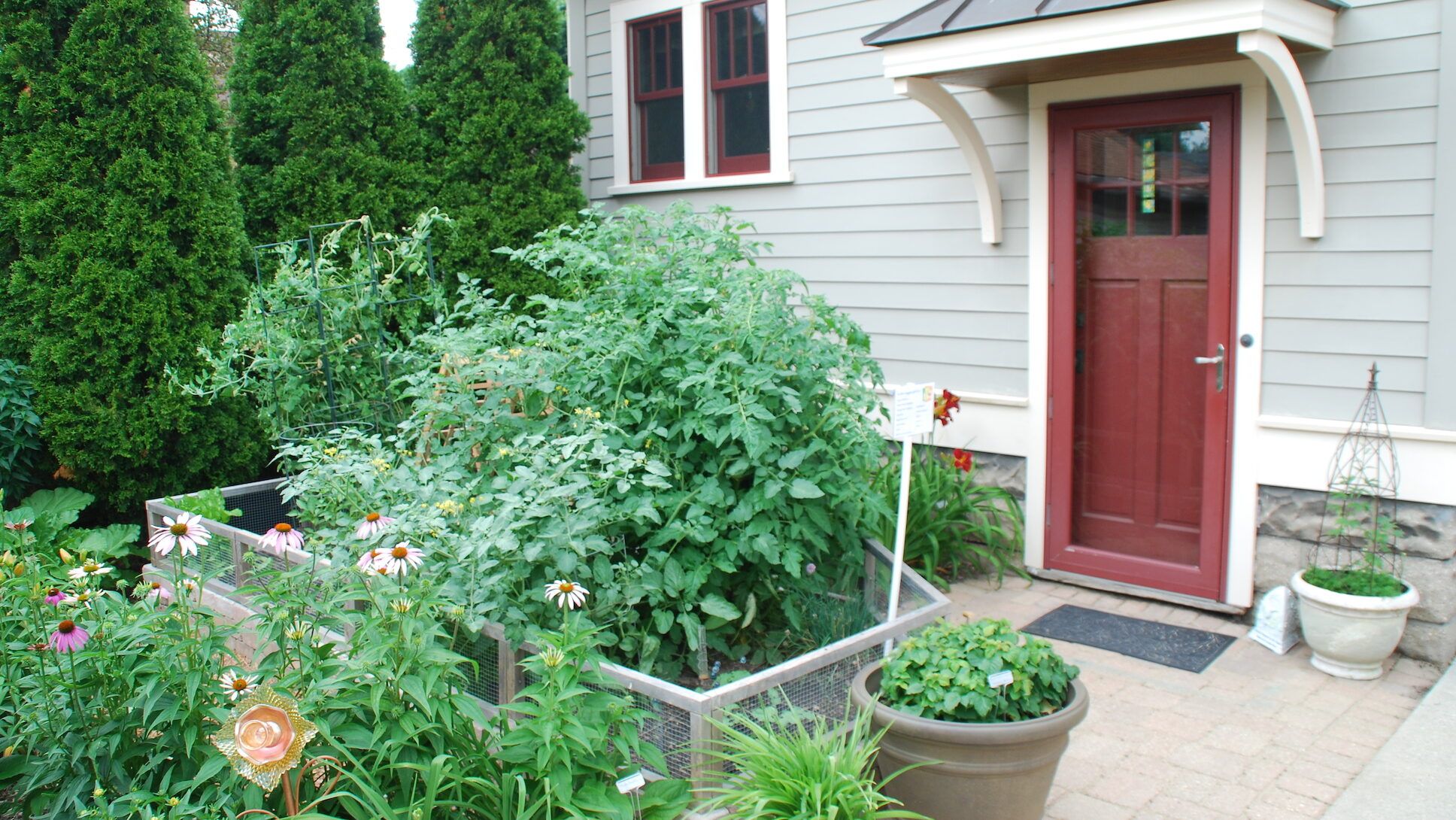 Small Space Kitchen Garden