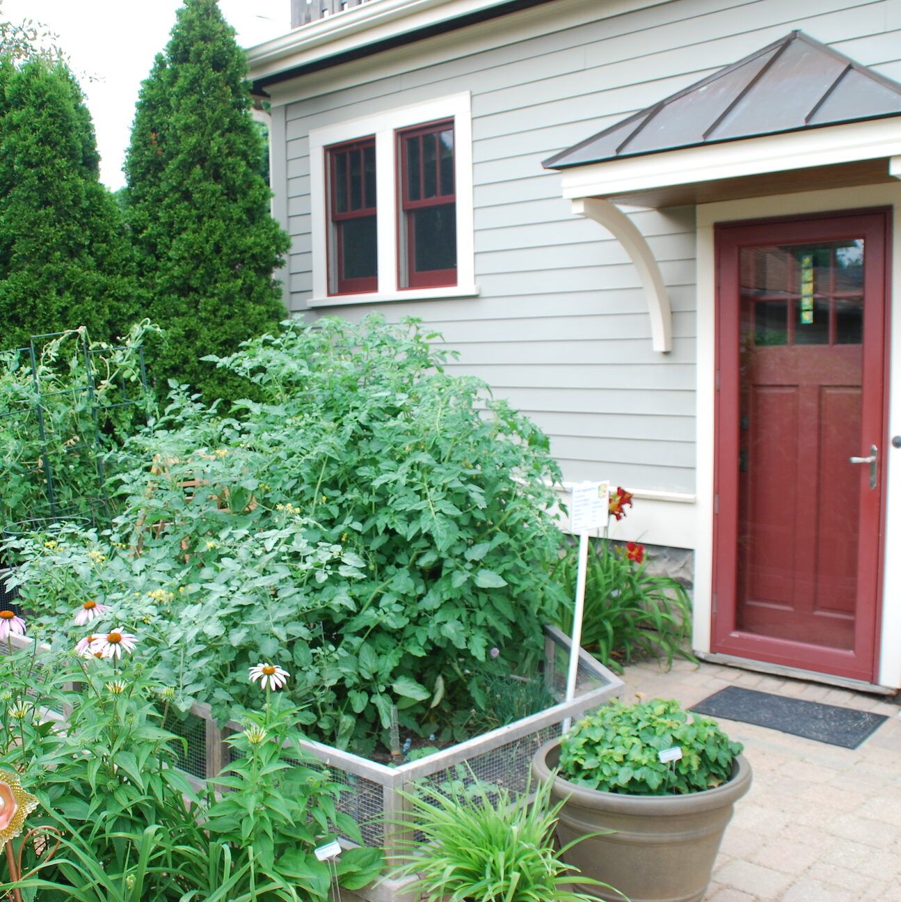 Small Space Kitchen Garden