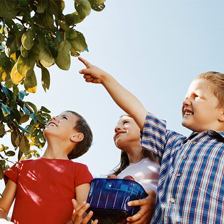 family in orchard