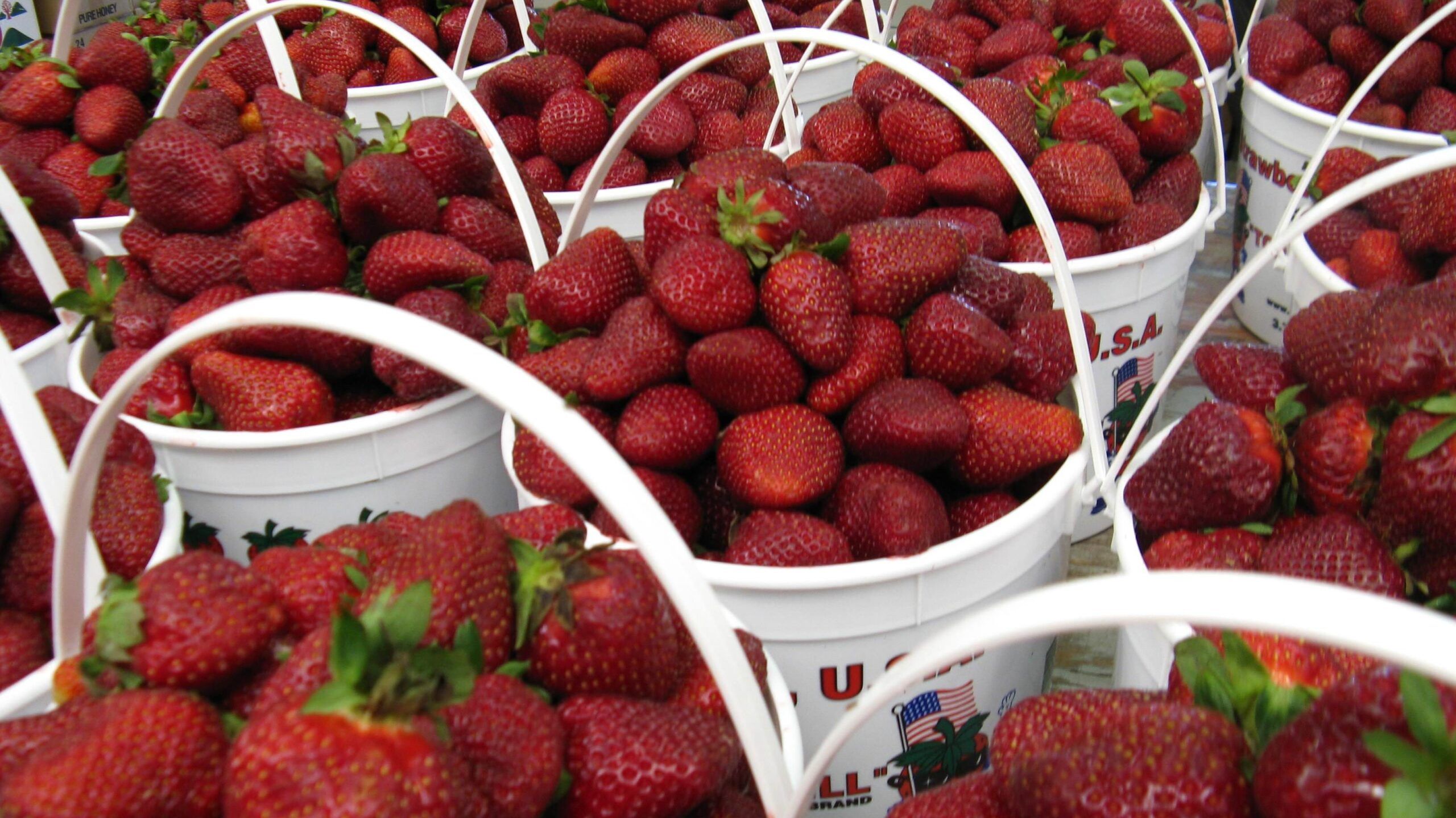 Buckets of Fresh-Picked Strawberries, Perfect for Strawberry Wine