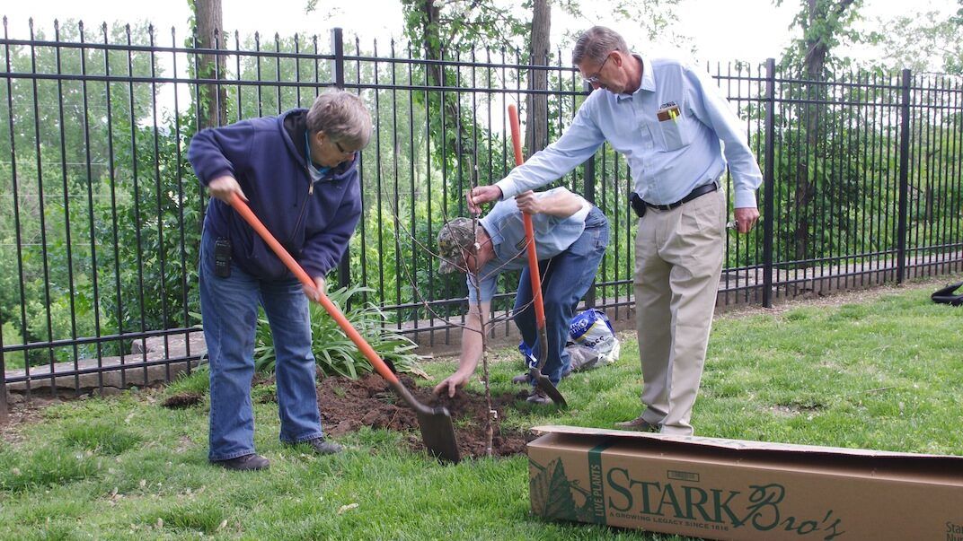 Preparing the Planting Site Preparing the Planting Site