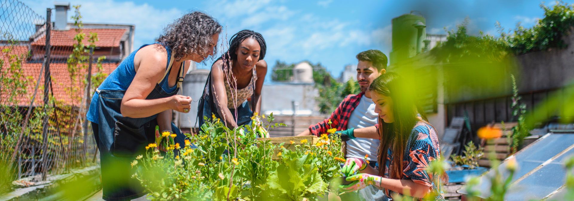Urban gardening