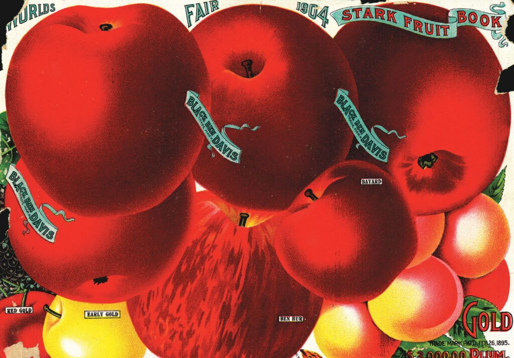 World's Fair Fruit Book