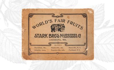 Read the full article World's Fair Sign