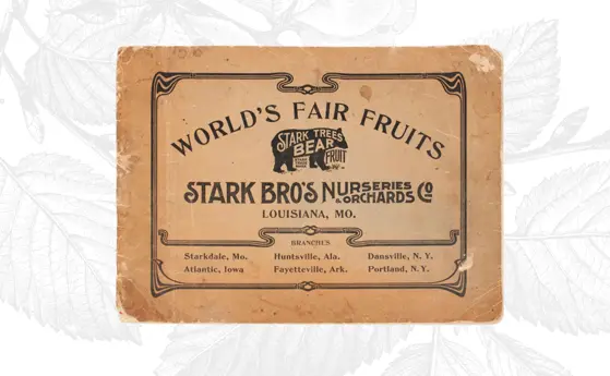 Read the full article World's Fair Sign