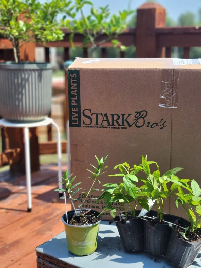 Image of Stark Brother's packaging