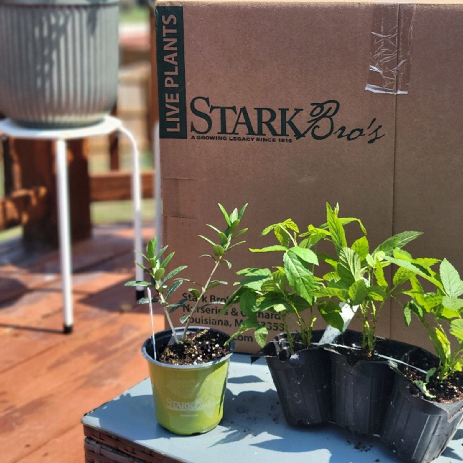 Image of Stark Brother's packaging