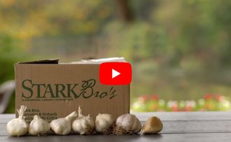 Stark Bros garlic varieties