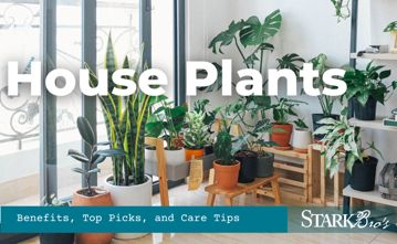 Read the full article Article image