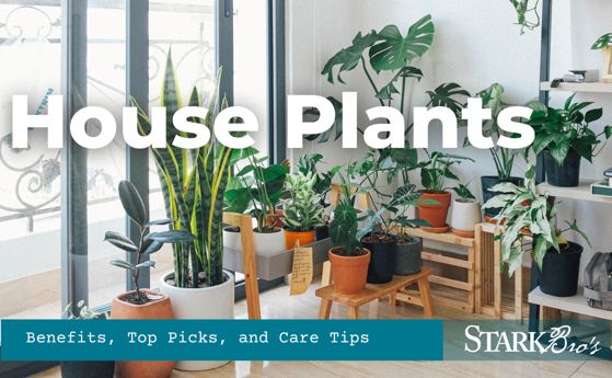 Read the full article Article image