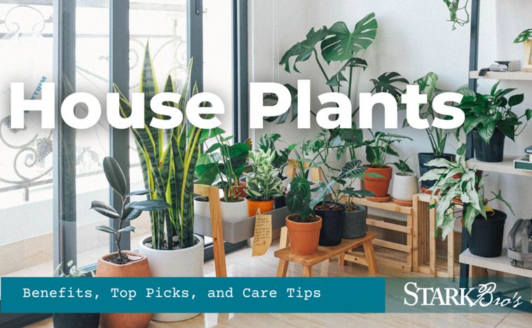 Read the full article Article image