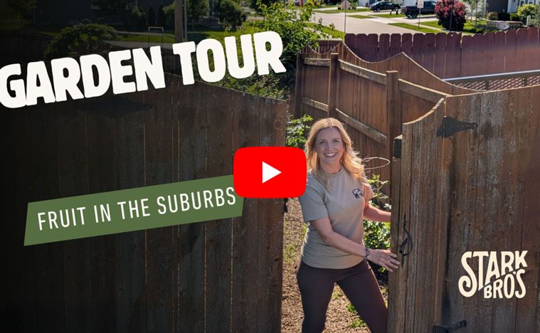 Read the full article Garden Tour