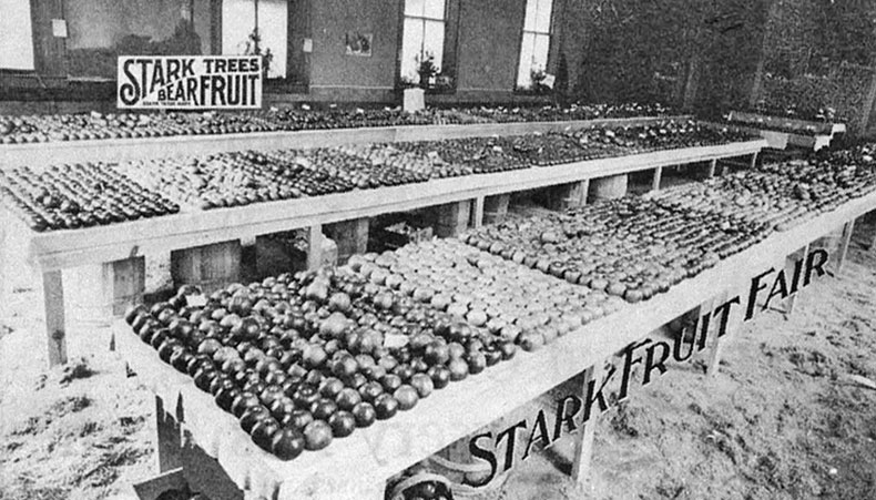 Stark Bro's Fruit Fair, 1893