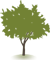 tree icon