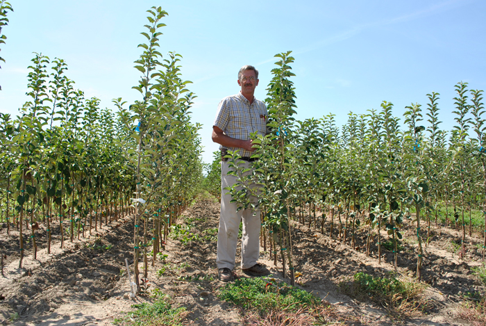 Whole Tree Nurseries Thenurseries Almond Tree Nursery Thenurseries