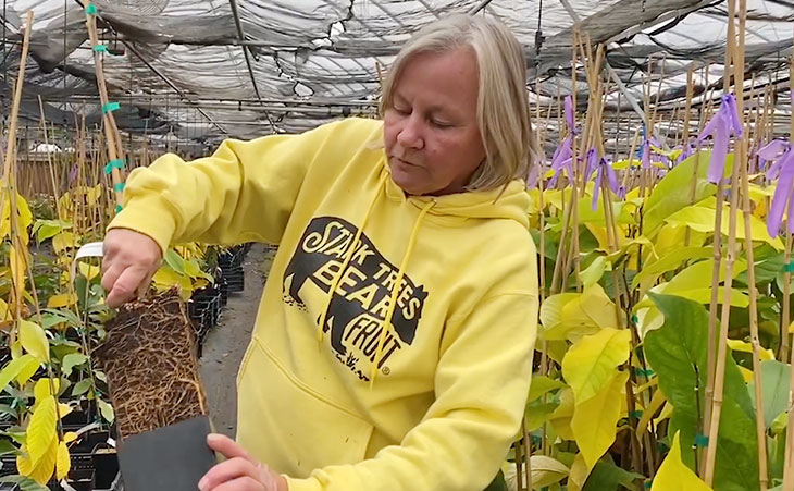 Photo of Terry Stark holding a Stark EZ start potted fruit tree