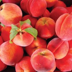 A pile of ripe peaches.